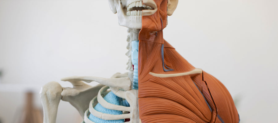 Why You Should Be Using Sports Tapes & Wraps – Stay Locked In